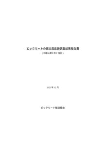 74.和歌山県K市F地区ビックリート現場追跡調査結果報告書（2023）のサムネイル